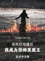 小说《杀死伏地魔后，我成为恐怖黑魔王》封面