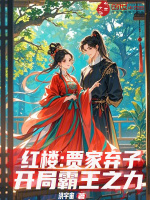 小说《红楼：贾家弃子，开局霸王之力》封面