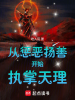 小说《从惩恶扬善开始执掌天理》封面