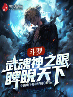 小说《斗罗：武魂神之眼，睥睨天下》封面