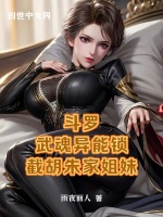 小说《斗罗：武魂异能锁，截胡朱家姐妹》封面