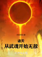 小说《诸天：从武魂开始无敌》封面