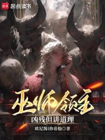 小说《巫师领主》封面