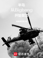 小说《半岛：从Bigbang开始登顶》封面