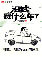 小说《没钱赛什么车？》封面