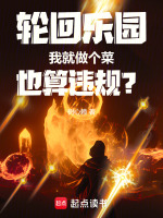 小说《轮回乐园：我就做个菜也算违规？》封面