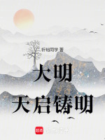 小说《大明：天启铸明》封面