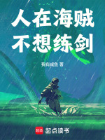 小说《人在海贼，不想练剑》封面