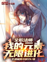 小说《全职法师：我的元素无限进化》封面