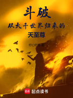 小说《斗破：从大千世界归来的天至尊》封面