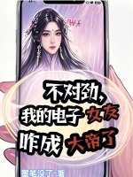 小说《不对劲，我的电子女友咋成大帝了》封面