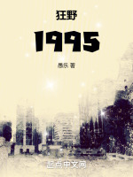 小说《狂野1995》封面