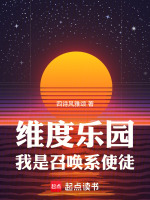 小说《维度乐园，我是召唤系使徒》封面