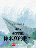 小说《半岛：做梦而已，你来真的啊？》封面