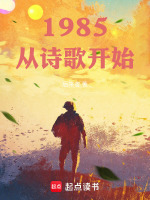 小说《1985：我的文艺时代》封面