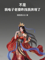 小说《不是，我电子老婆咋找我奔现了》封面