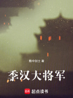 小说《季汉大将军》封面