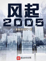 小说《风起2005》封面