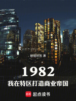 小说《1982，我在特区打造商业帝国》封面