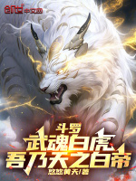 小说《斗罗：武魂白虎，吾乃天之白帝》封面