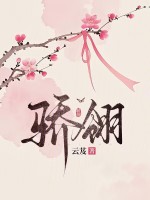 小说《骄翎》封面