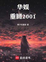 小说《华娱：重回2001》封面