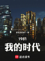 小说《1981我的时代》封面