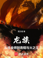 小说《龙族：从炼金师到青铜与火之王》封面