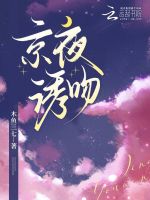 小说《京夜诱吻》封面