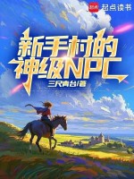 小说《新手村的神级NPC》封面