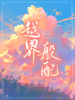小说《越界般配》封面