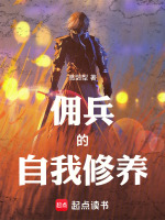 小说《佣兵战纪》封面