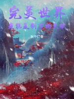 小说《完美世界：我能复制万物天赋！》封面