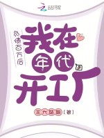 小说《负债百万后，我在年代开工厂》封面