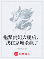 小说《抱紧贵妃大腿后，我在京城杀疯了》封面