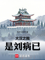 小说《大汉之我是刘病已》封面