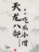 小说《天龙八部里的吃瓜小僧》封面