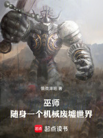 小说《巫师：随身一个机械废墟世界》封面