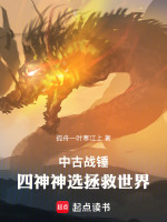 小说《中古战锤：四神神选拯救世界》封面