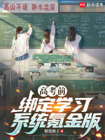 小说《高考前绑定学习系统氪金版》封面
