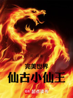 小说《完美世界：仙古小仙王》封面