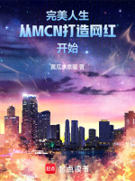 小说《完美人生：从MCN打造网红开始》封面