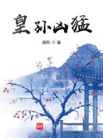 小说《皇孙凶猛》封面