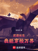 小说《武道之我能升级》封面