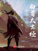 小说《谁能书阁下,白首太玄经表达了什么》封面