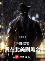 小说《洛城悍警：我在北美刷黑金》封面