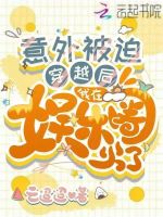 小说《意外被迫穿越后，我在娱乐圈火了》封面