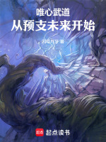 小说《无敌从预支未来开始》封面