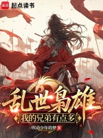 小说《乱世武道:我的兄弟有点多》封面