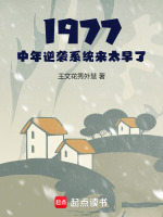 小说《1977：中年逆袭系统来太早了》封面